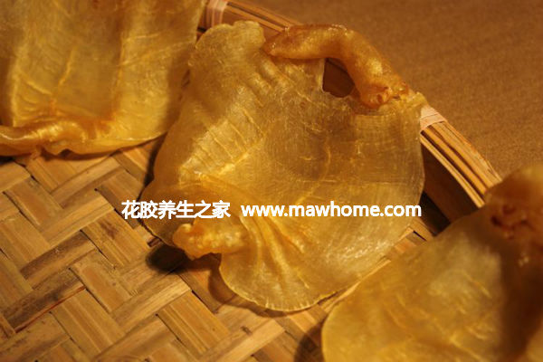 红鸡赤嘴鱼胶的功效与作用