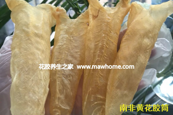 黄花胶