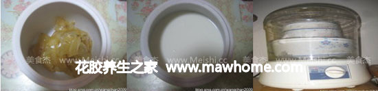 花胶放入炖锅,倒入牛奶,姜(怕腥的可以加2片,不可多,否则抢味了),水开后隔水炖1小时
