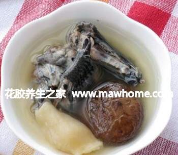 响螺花胶乌鸡汤