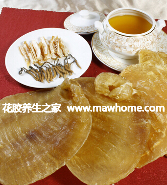 花胶是什么