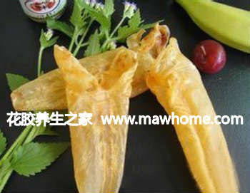 花胶怎么挑选