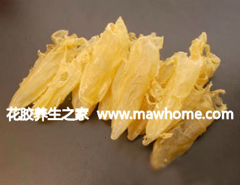 花胶的挑选