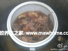 花胶茶树菇炖排骨