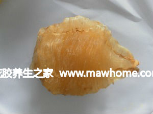 花胶的保存方法,花胶怎么保存最好