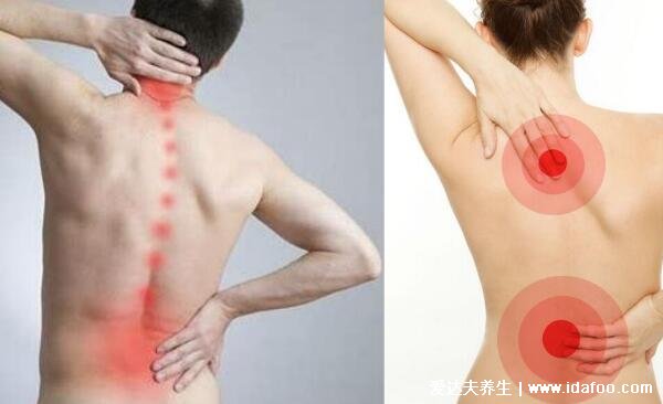 背部筋膜炎疼痛位置图，身体背部各部位疼痛对比图