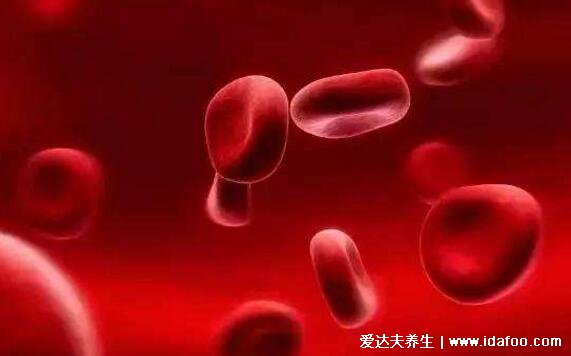 血毒血热引起皮肤病图片，引发各种疹子/毛囊炎/红斑狼疮/牛皮癣