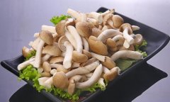 蟹味菇的营养作用(蟹味菇多大孩子能吃)