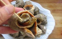 孕妇可以吃海螺吗有什么好处(哺乳期吃了海螺需要忌奶吗)