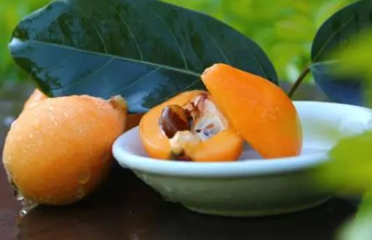 一岁宝宝吃枇杷好吗？宝宝吃枇杷食谱有哪些