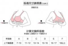 上胸围105下胸围95穿什么码数(胸围上80下