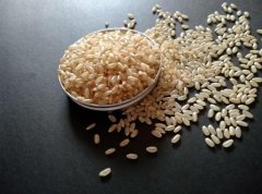 糙米需要提前泡多久才可以蒸(糙米饭不浸