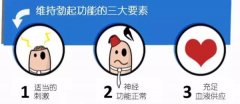 男人勃起是什么样的示意图片？男生小弟