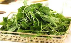 荠菜会导致拉肚子吗(喝荠菜煮水为什么会