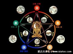 龟龄集的9大功效+5大适用人群!(龟龄集的