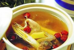 血鸽子的功效与禁忌(血鸽的功效与作用