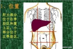 肝引起的右肩什么位置痛(左腹部肝区疼痛