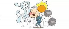 皮肤湿疹、出油多？是湿气太重了！6月一