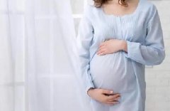 圣女果孕妇可以吃吗(孕妇吃圣女果的功效