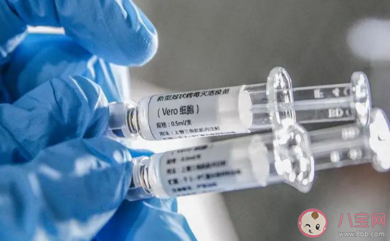 打了新冠疫苗后多长时间才干正常备孕 打新冠疫苗后怀孕了有什么影响