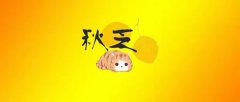 入秋的第一场雨真让人矫情歌词(cc睡不醒