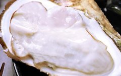 开壳的生蚝怎么吃(生蚝食用方法图解)
