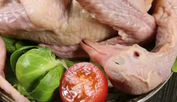 鸽子肉是发物吗？鸽子肉什么人群不能吃？