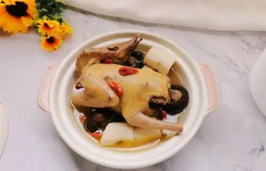 鸽子肉是发物吗？鸽子肉什么人群不能吃？