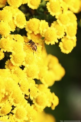 不少人一旦生气就会气到胃疼 这是怎么回事？