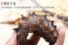 小孩子吃海参流鼻血吗_小孩子吃海参容易性早熟吗
