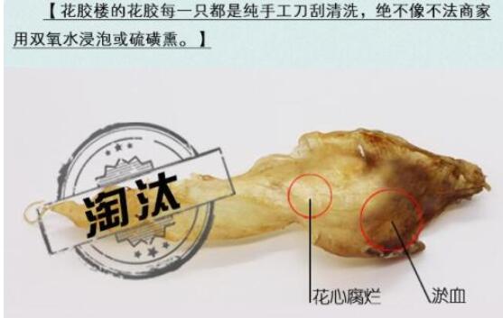 花心鱼胶是什么,怎么辨别鱼胶花心