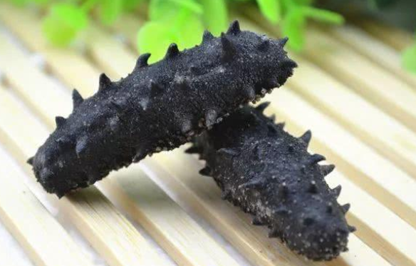孕期怎么吃海参最有营养,孕妇吃海参的最佳时间