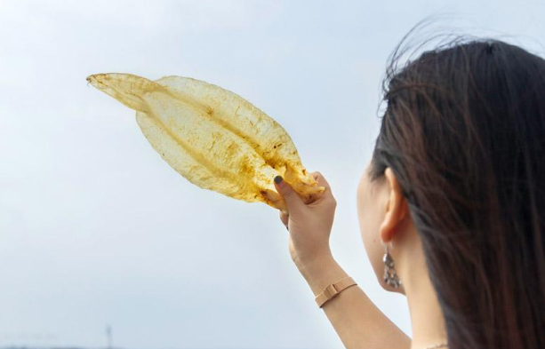 鲜鱼泡能代替鱼胶吗,算不算鱼胶