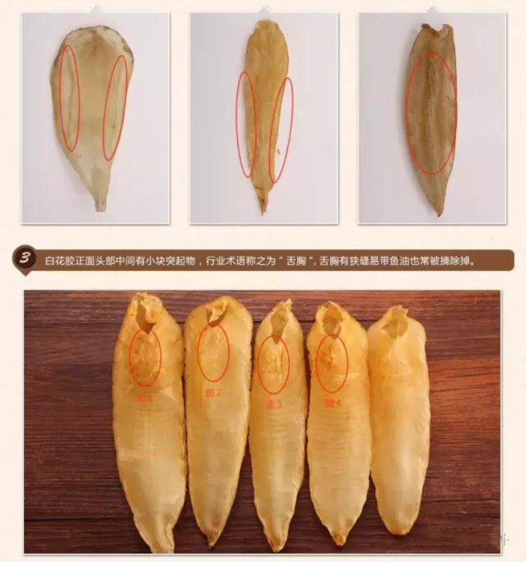 白花胶多少头的比较好