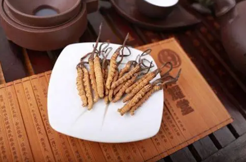 冬虫夏草与石斛一起吃功效