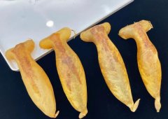 蜘蛛胶可以加什么吃对咳嗽好