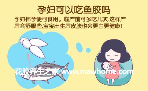 鱼胶孕妇可以吃吗