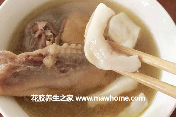花胶当归炖鸽子的做法