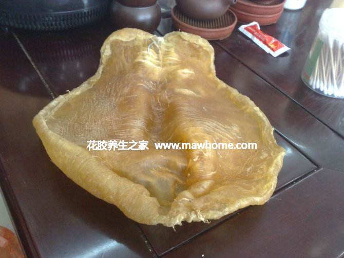 什么鱼胶比较好_什么鱼胶最好