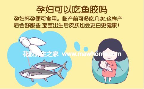 鱼胶孕妇可以吃吗 答案可以