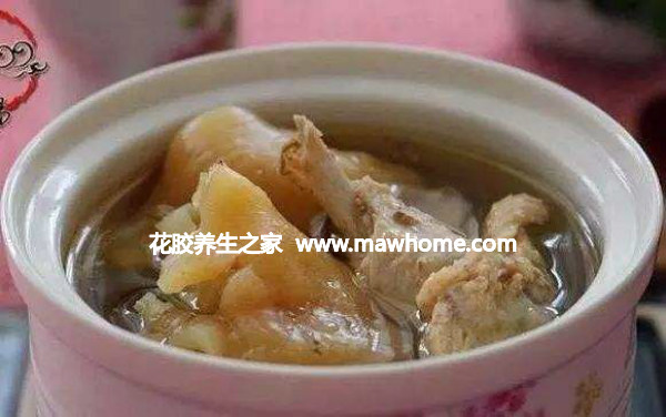 西洋参鱼胶炖鸡