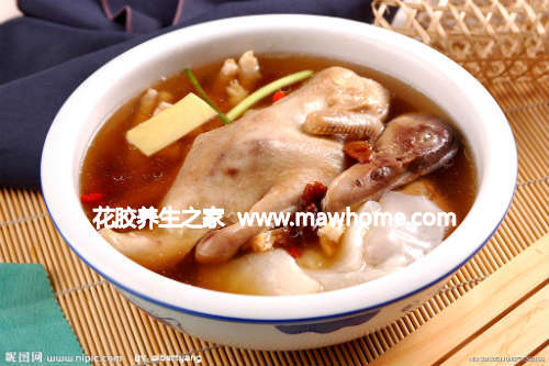 鱼胶圆肉炖水鸭