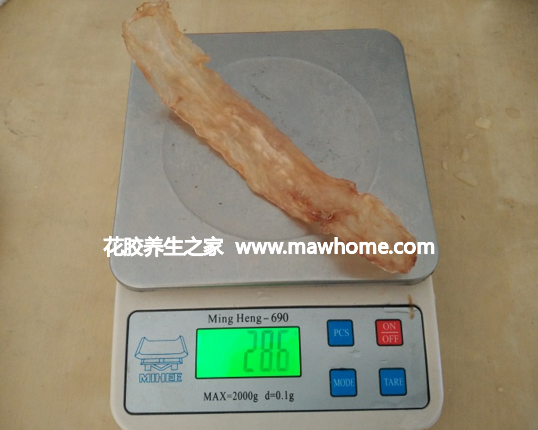 鳕鱼胶