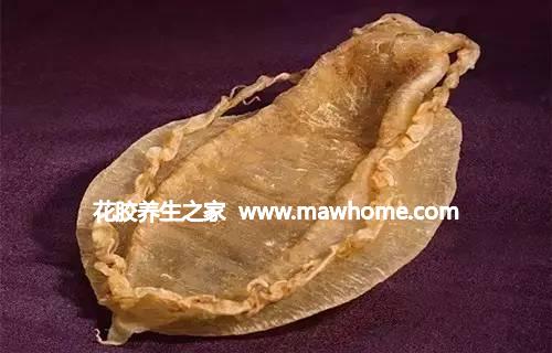 排名第一的花胶鱼胶是什么