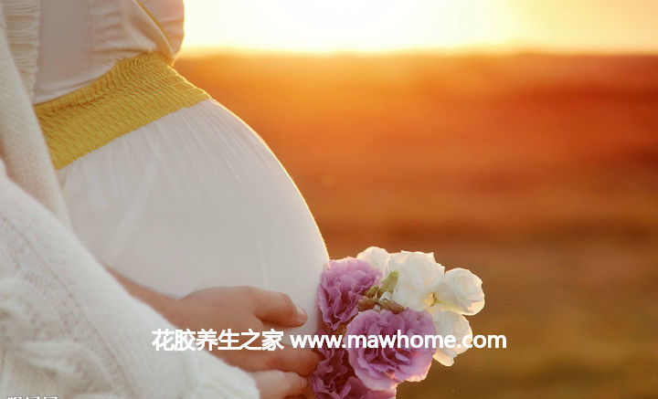 适合孕妇吃的花胶（鱼胶）的5种做法_秋冬季节最
