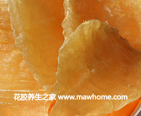 安南花胶价格,做法,功效及图片大全