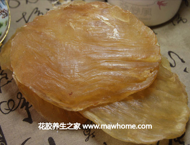 斗湖花胶价格,做法,功效及图片大全