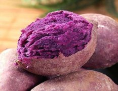 紫薯不发芽怎么保存？你每天吃多少紫薯？