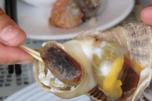 孕妇可以吃海螺吗？吃海螺需要注意什么