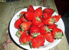 草莓上面的籽没完全变红算成熟吗(草莓红了种子还是绿色的可以吃吗
